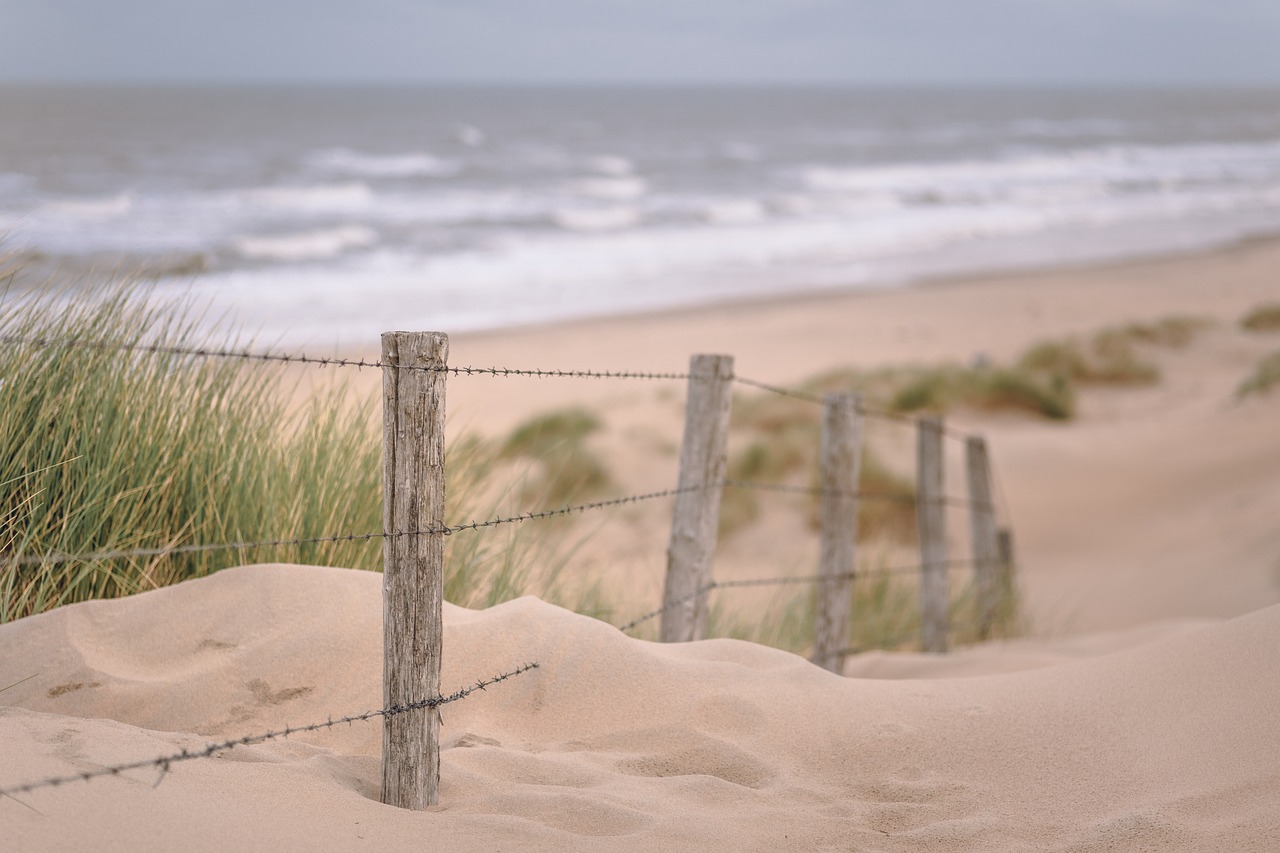 beach, sea, twilight-4530127.jpg